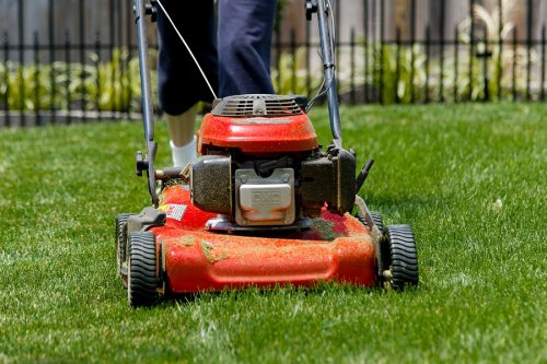 How to Take Care of Your Lawn